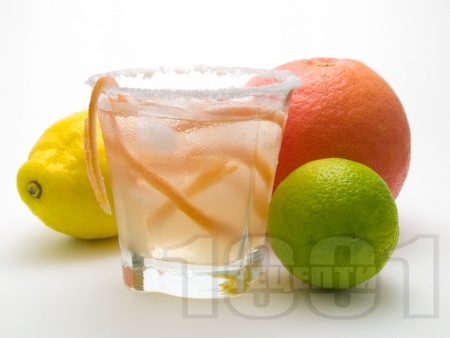  Salty Dog ( )      -   